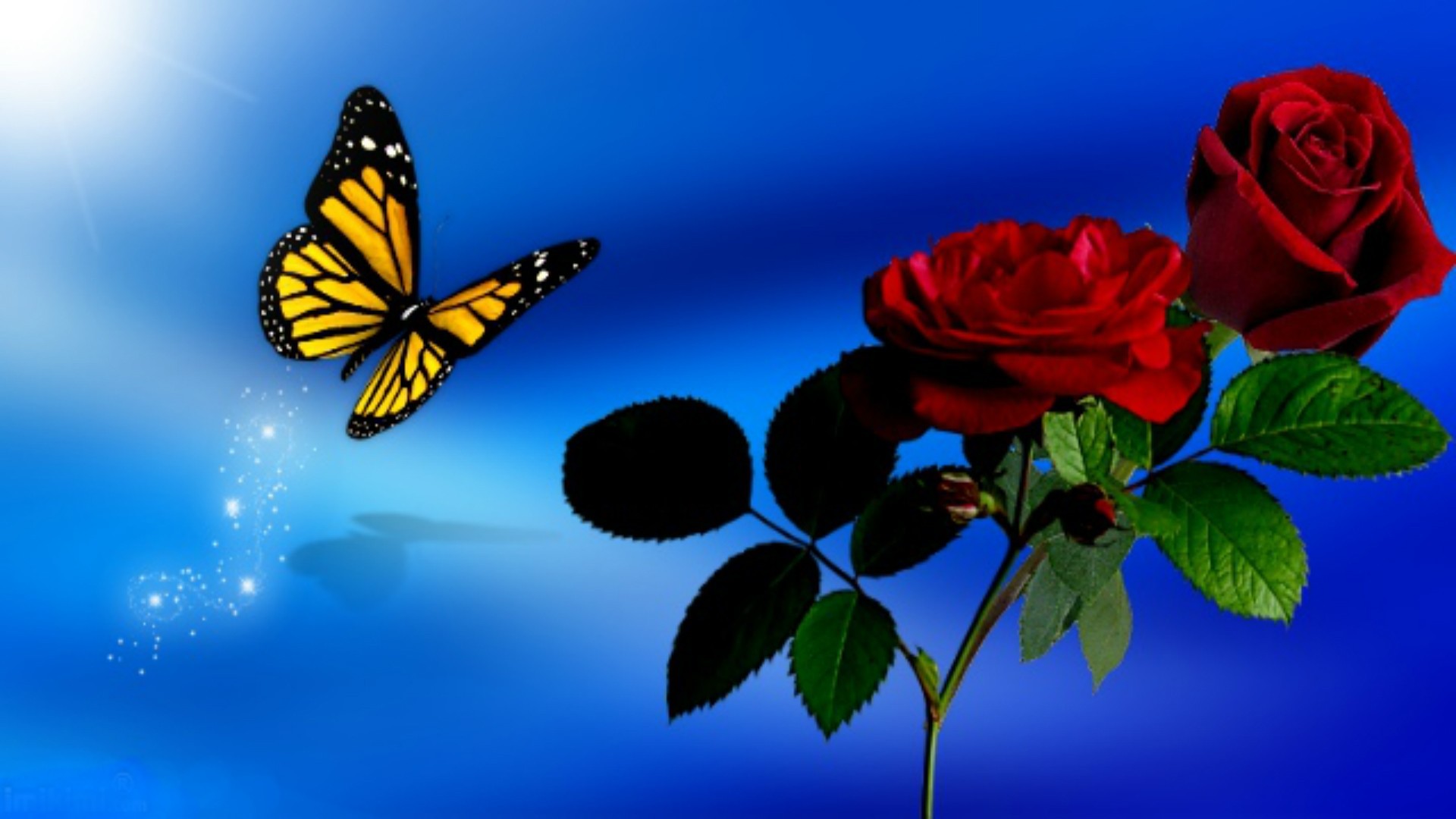 1920x1080, Butterfly Sky Spring Blue Roses Red Flowers - HD Wallpaper 