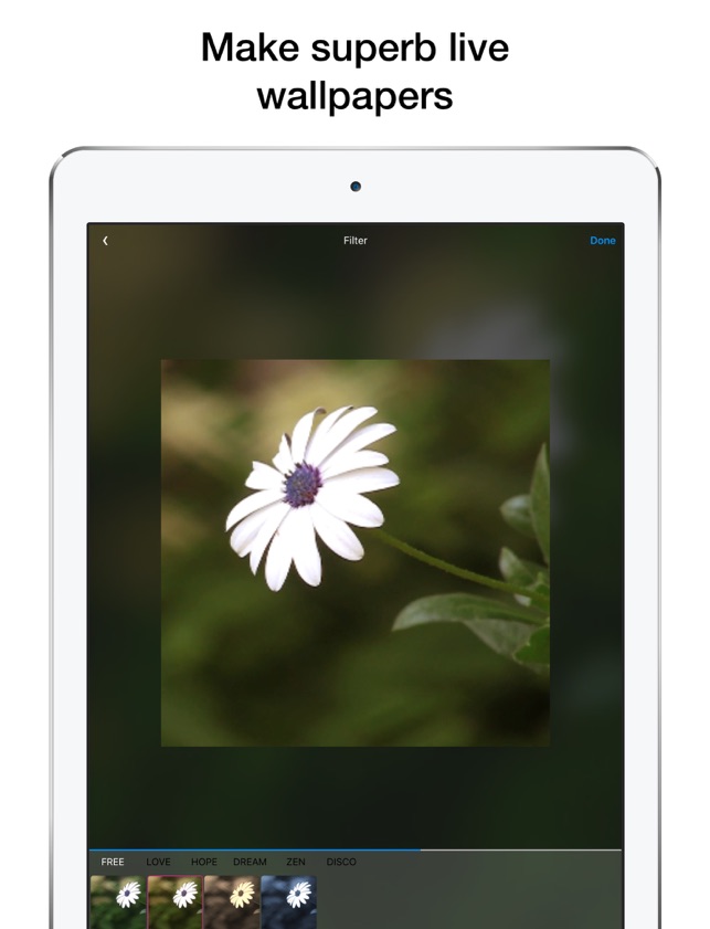 خواتم مباركه وعيد مبارك - HD Wallpaper 