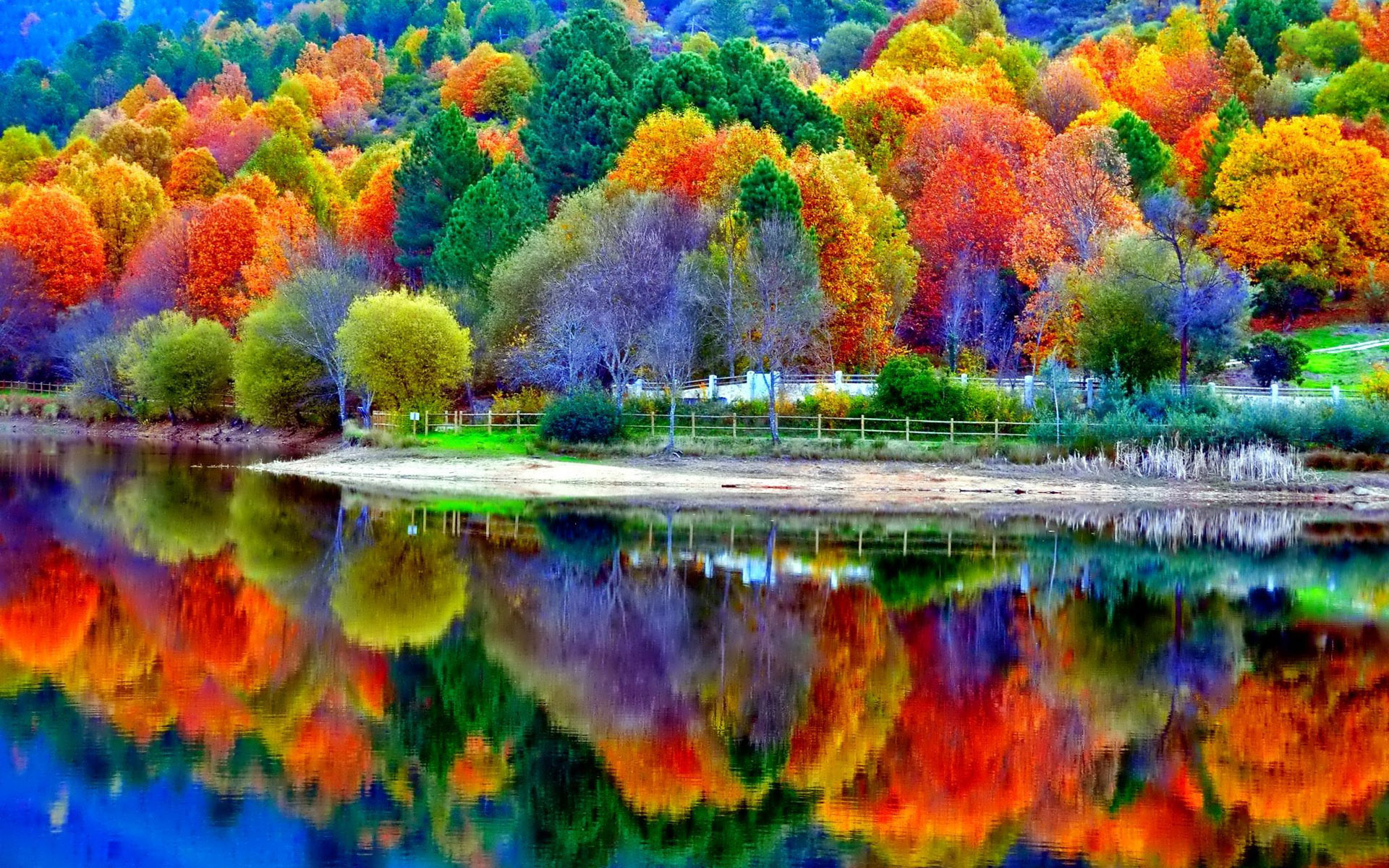 Beautiful Fall Wallpaper Desktop - HD Wallpaper 