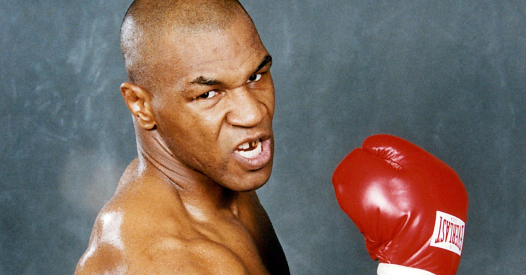 Mike Tyson - HD Wallpaper 