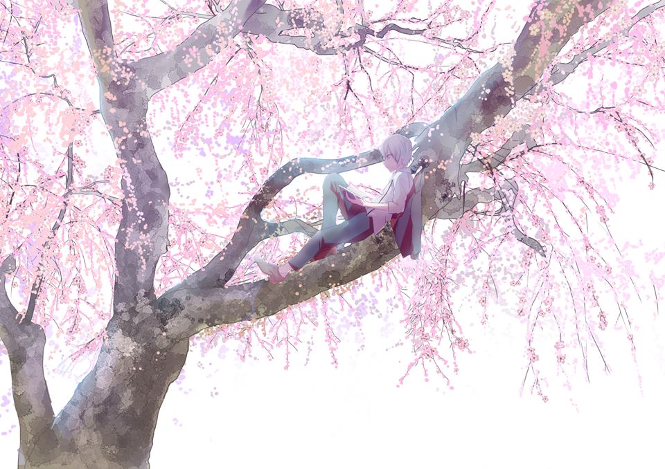 Imagens Do Mrsuicidesheep - HD Wallpaper 