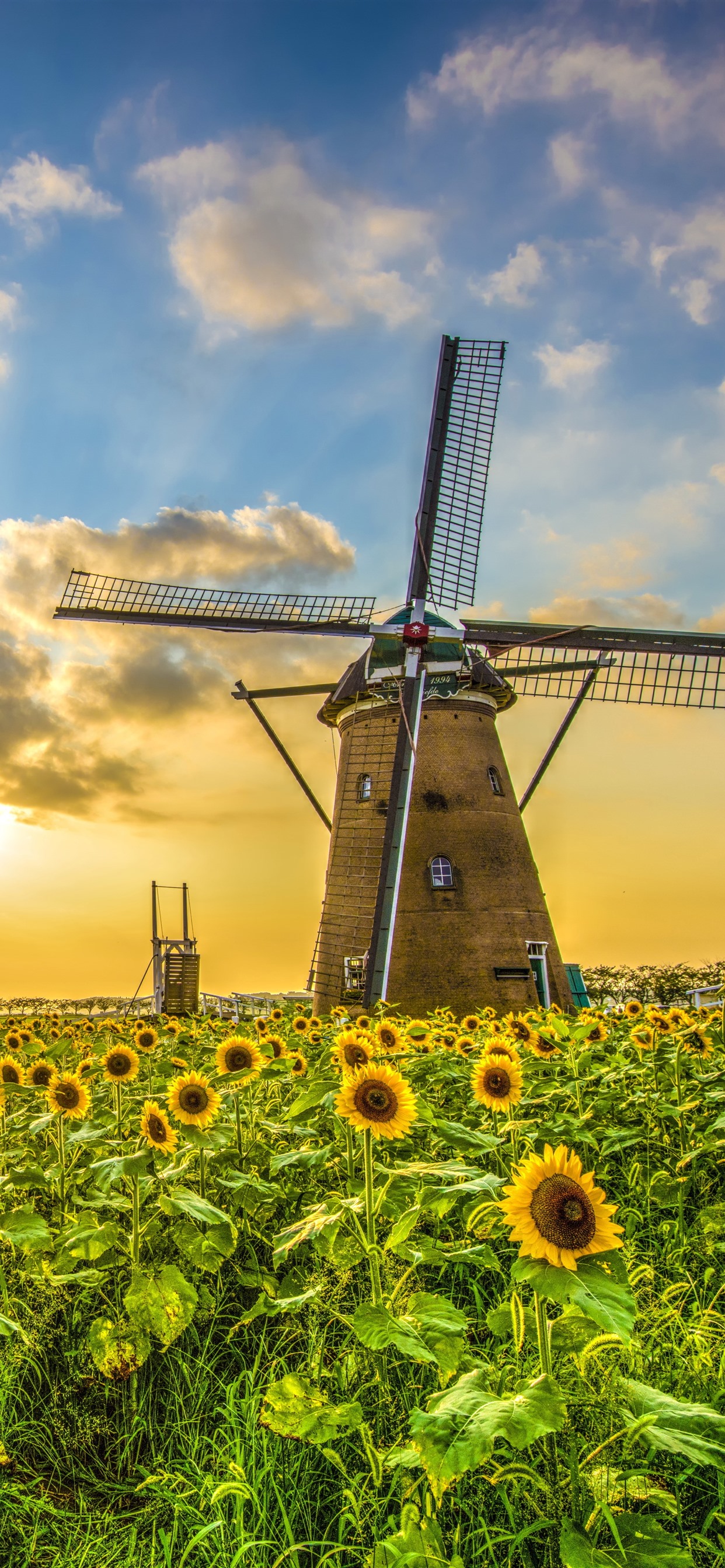 Iphone Wallpaper Windmill, Sunflowers, Sunset, Clouds - HD Wallpaper 