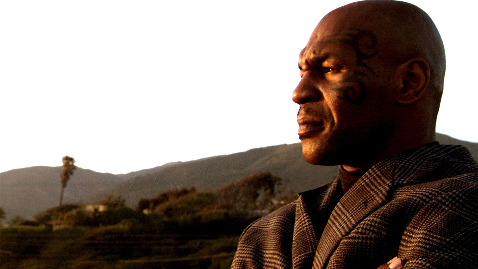 Mike Tyson Photos Old - HD Wallpaper 