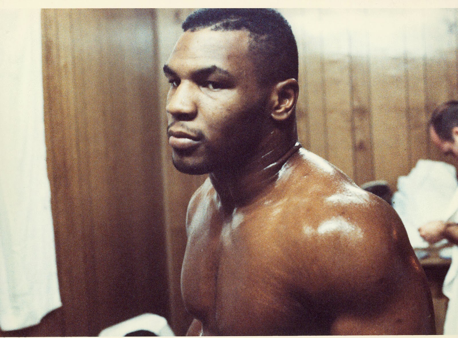 Mike Tyson Portrait Young - HD Wallpaper 