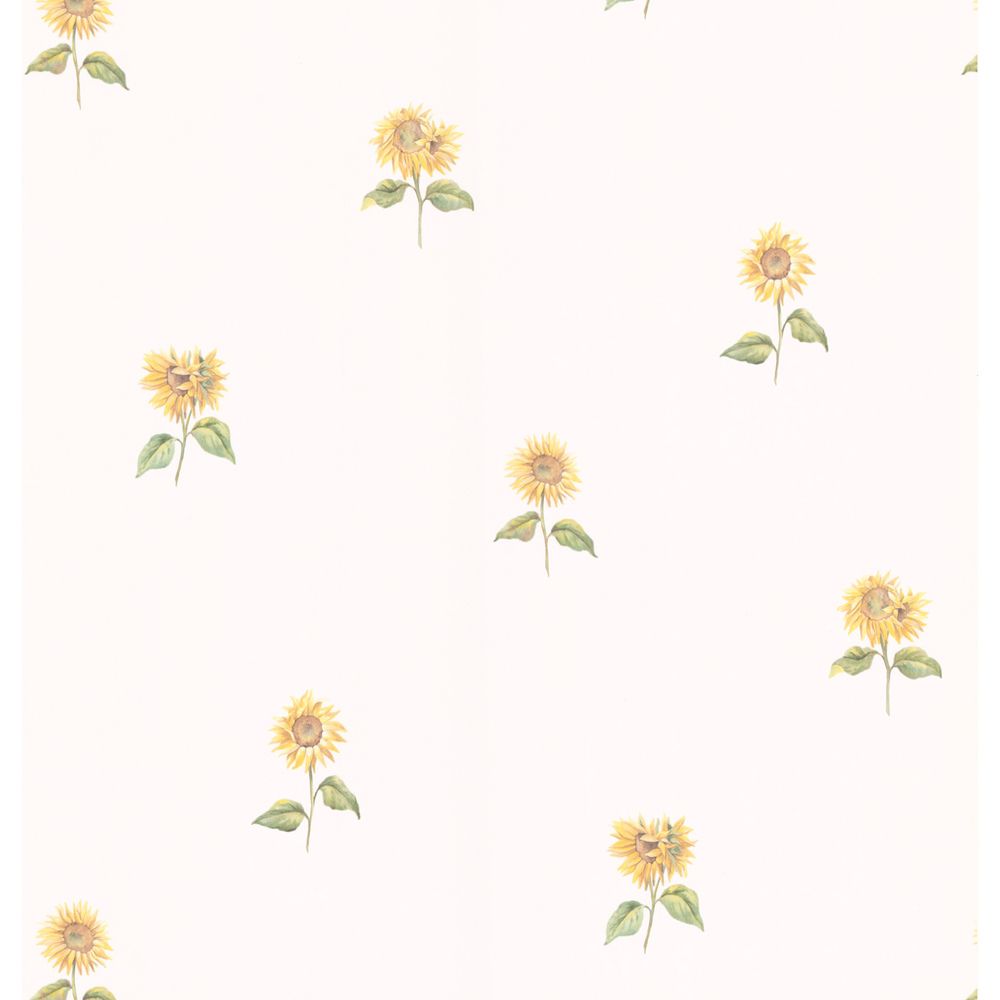 Sunflower Wallpaper White Background - HD Wallpaper 