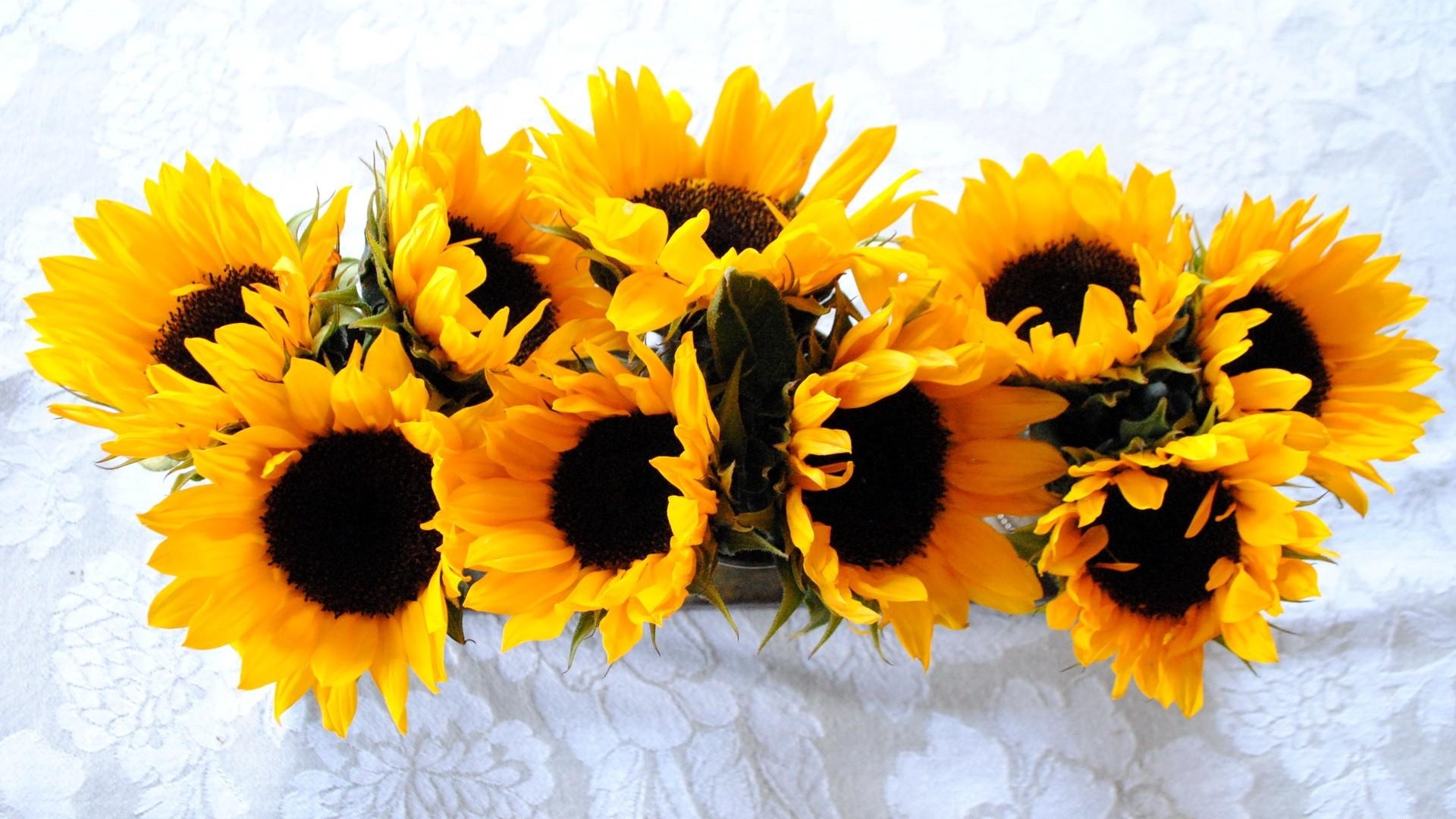 Wallpaper Sunflowers, Composition, Fabric - Sunflower Hd Wallpaper 1080p - HD Wallpaper 