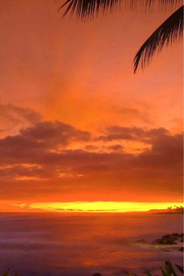 Beautiful Sunset Iphone Wallpaper - Tropical Sunset - HD Wallpaper 