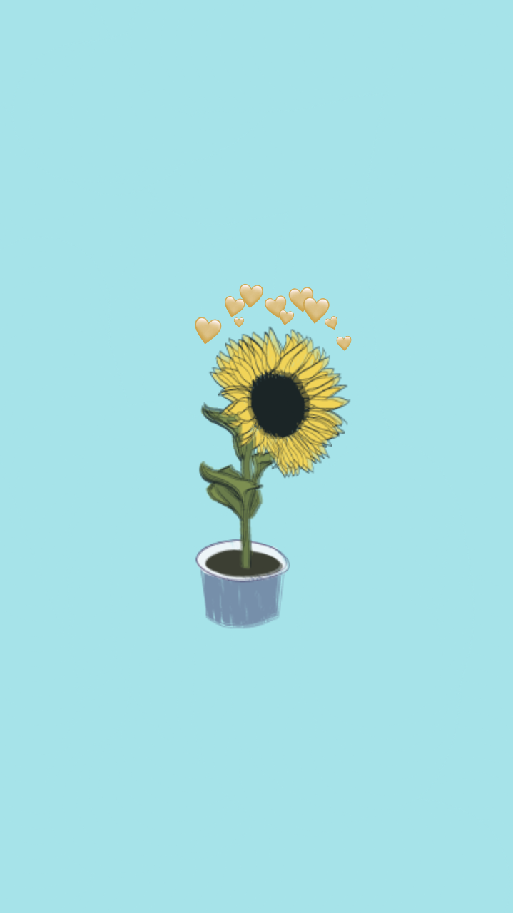 Sunflower - HD Wallpaper 