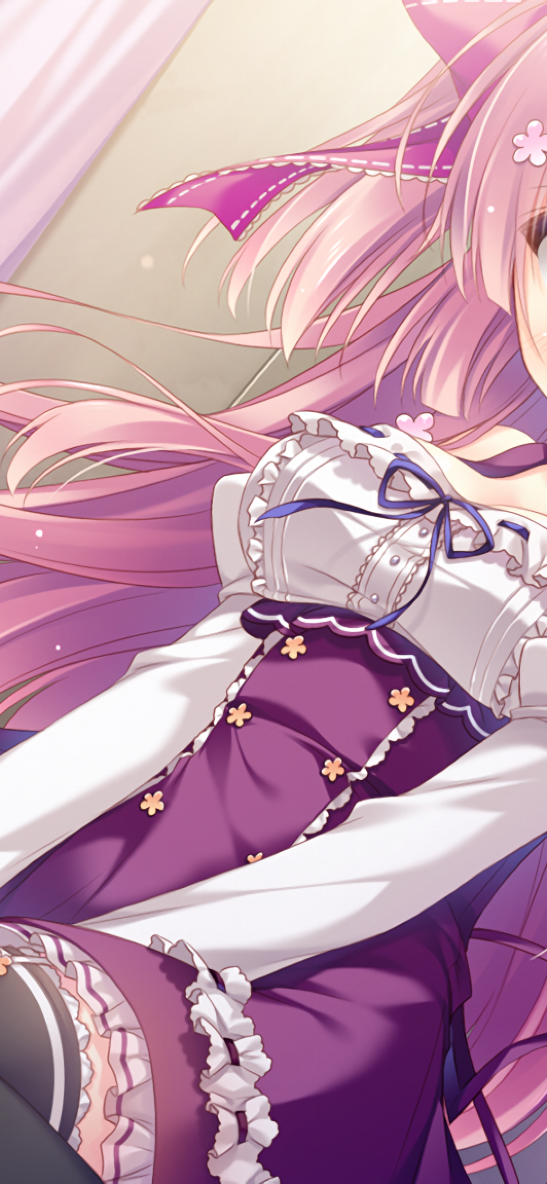 Hakoniwa Logic, Iriya Koko, Visual Novel, Pink Hair, - Cartoon - HD Wallpaper 