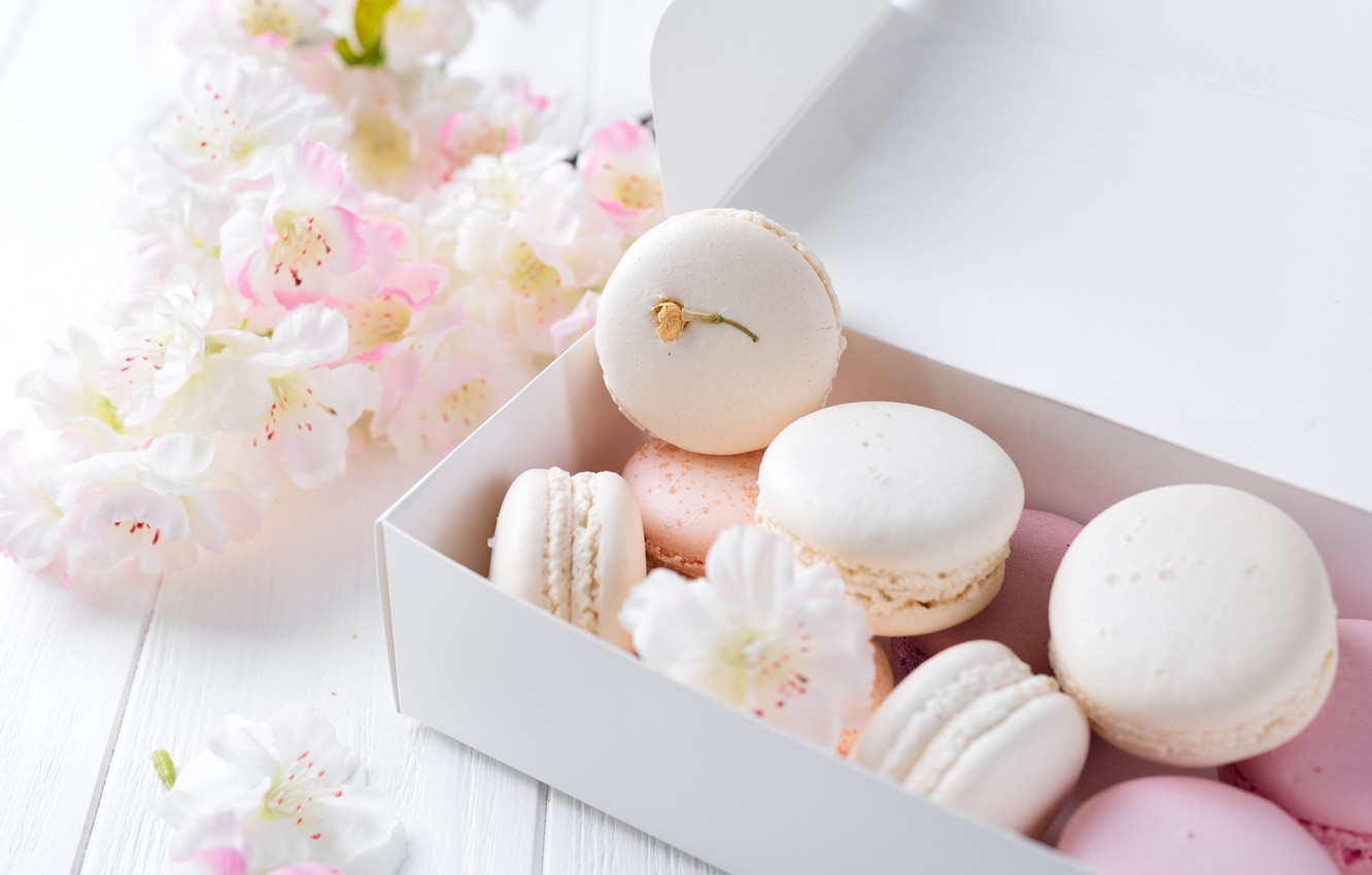 Photo Wallpaper White, Pink, Flowers, French, Macaron, - Macarons Pastel - HD Wallpaper 