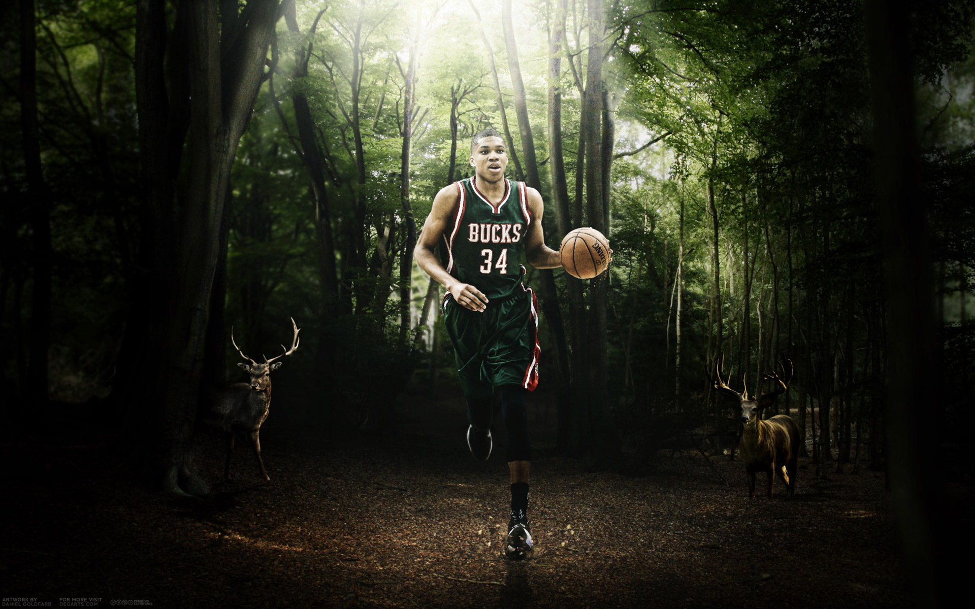 Giannis Antetokounmpo Bucks 2015-2016 Wallpaper - Old-growth Forest - HD Wallpaper 