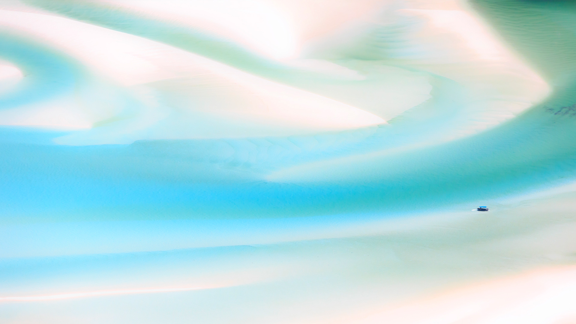 Macro Photography - HD Wallpaper 