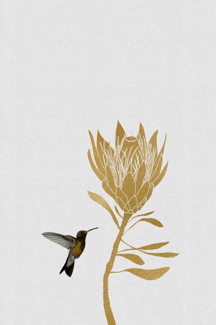 Poster - HD Wallpaper 