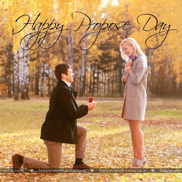 Propose Day Valentines Day Images Free Download - Marriage Proposal In Fall - HD Wallpaper 