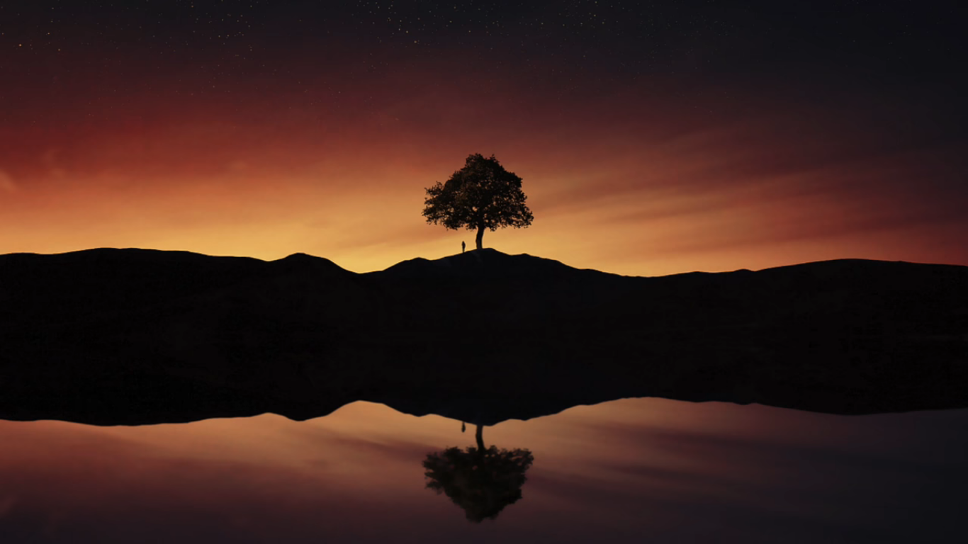 Silhouette - HD Wallpaper 
