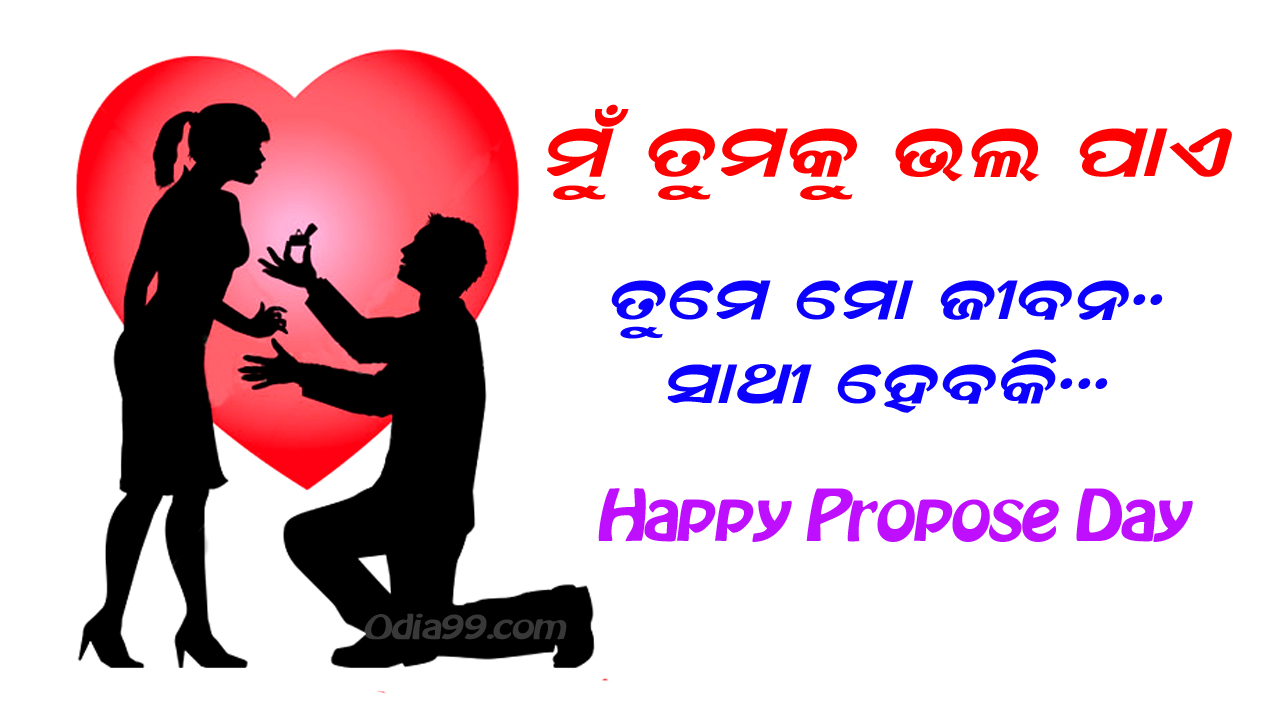 wallpapers Whatsapp Dp Happy Propose Day Image Download happy propose day whatsapp dp