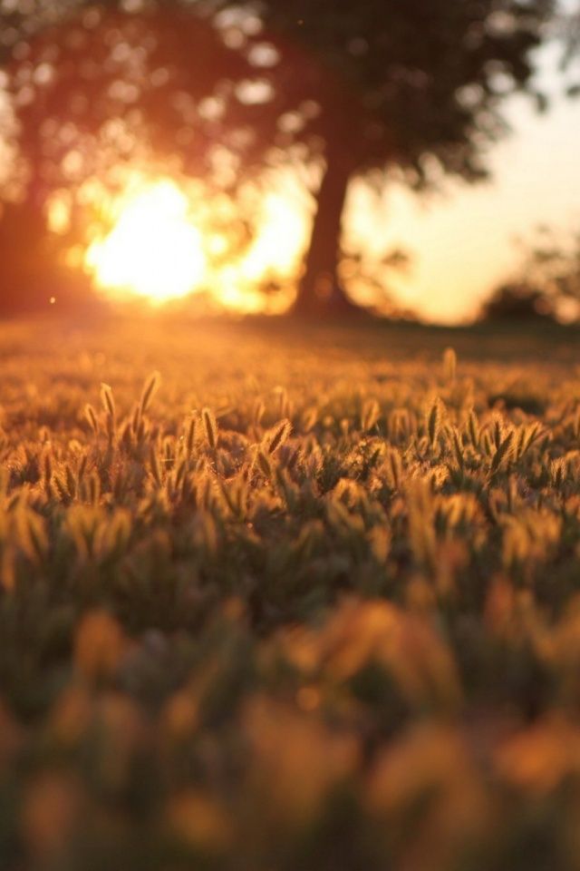 Best Sunset Wallpapers For Phone - HD Wallpaper 