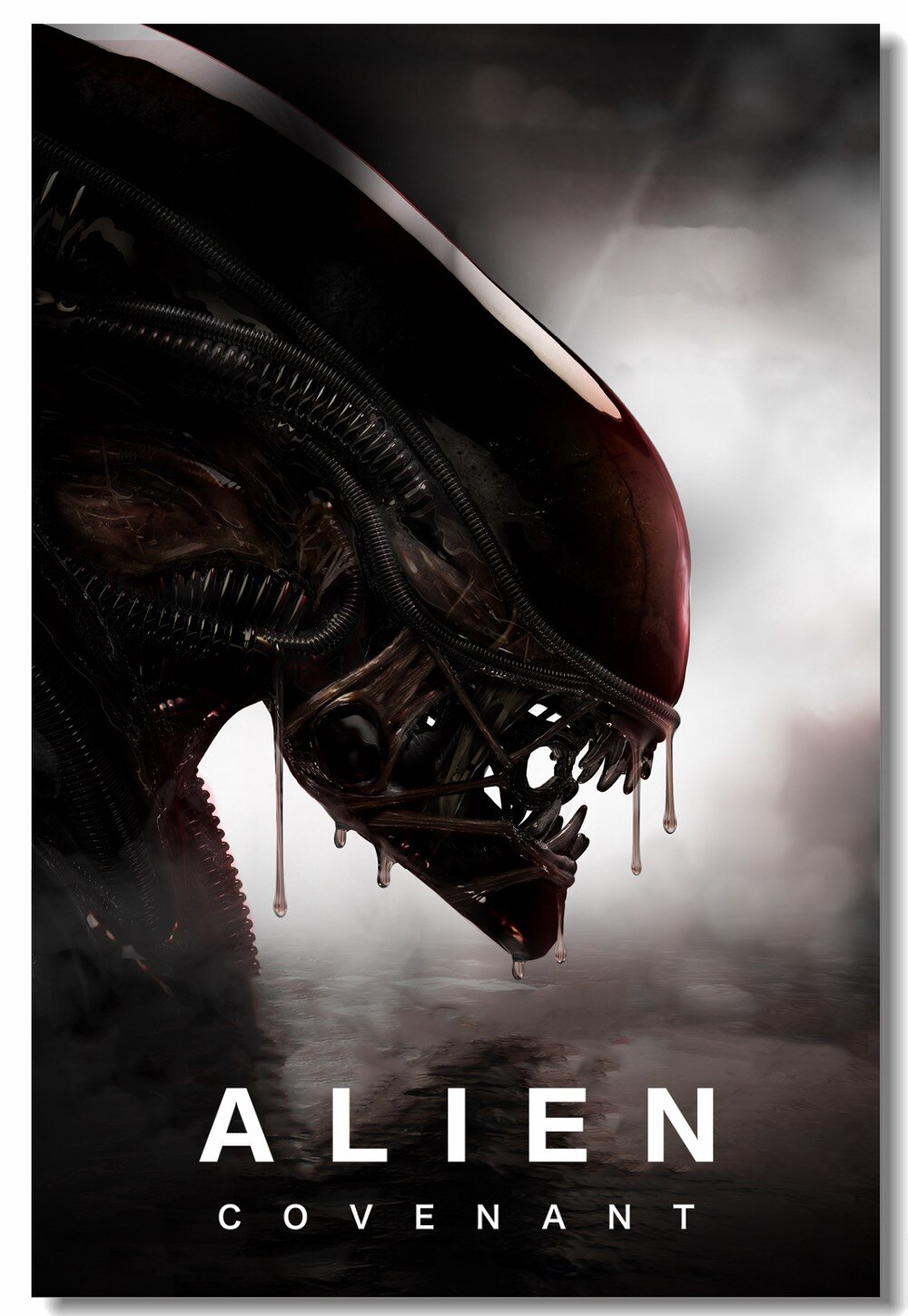 Alien Wallpaper 4k - HD Wallpaper 