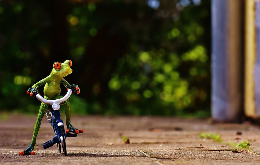 Frog Riding Bicycle, Bike, Funny, Cute, Sweet, Figure, - Funny Bicycle - HD Wallpaper 