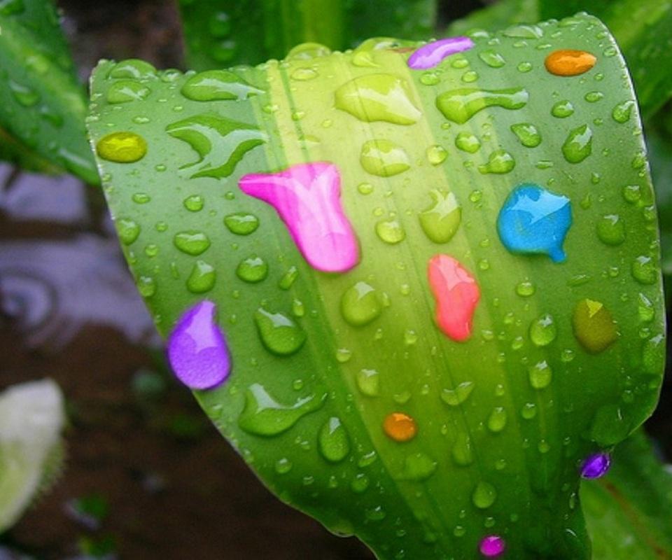 Colourful Rain - HD Wallpaper 