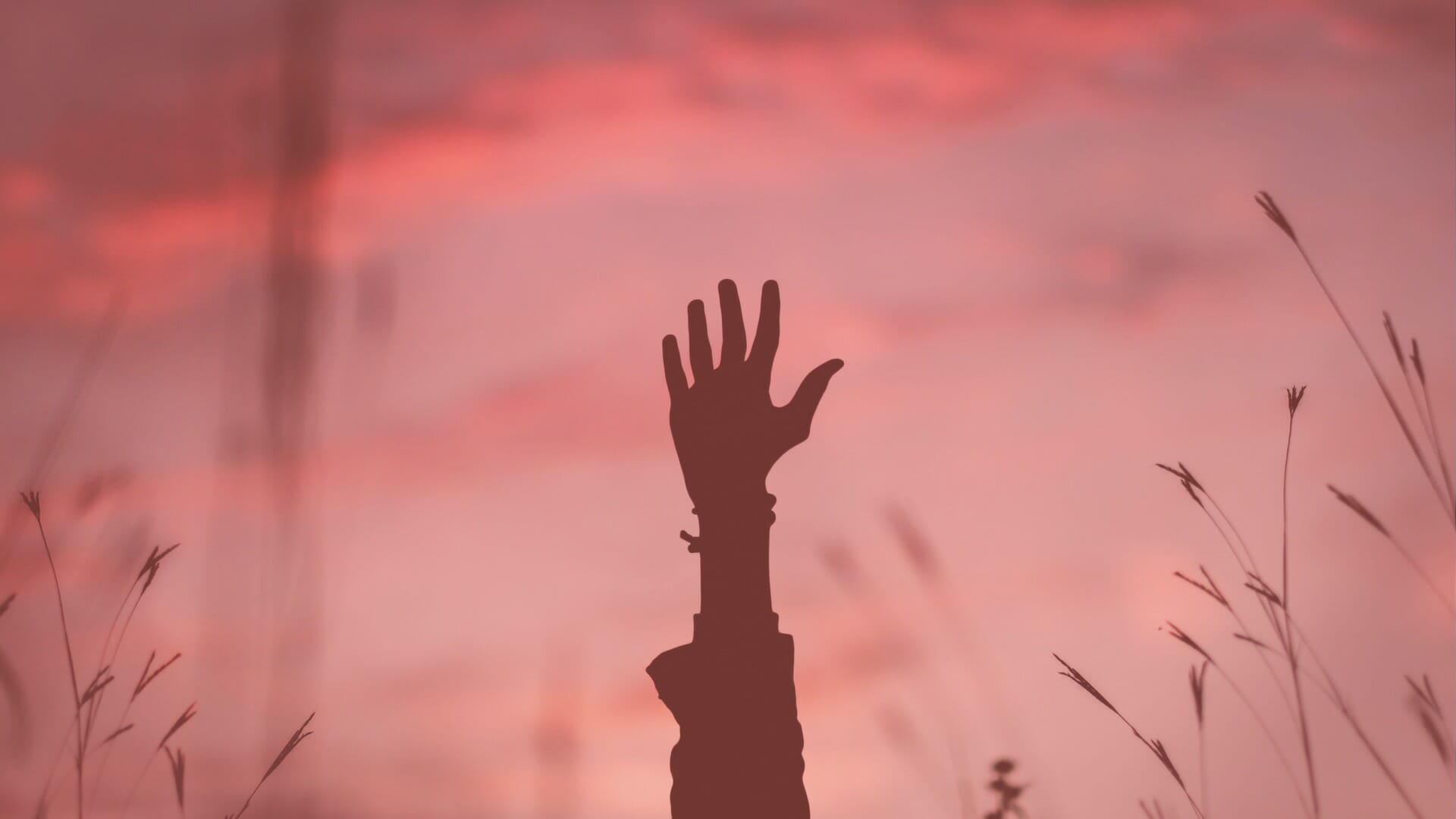 I-have No Money - Hand Reaching Out To The Sky Png - HD Wallpaper 