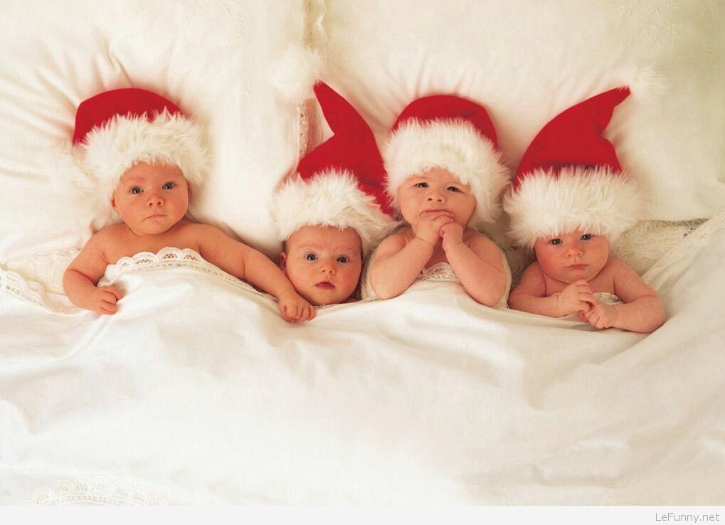 Baby Christmas Photo Session - HD Wallpaper 