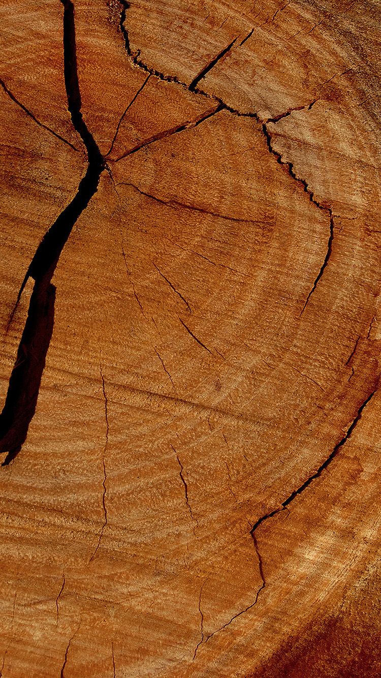 Com Apple Iphone7 Iphone7plus Wallpaper Vu06 Wood Texture - Gucci Note 8 Case - HD Wallpaper 