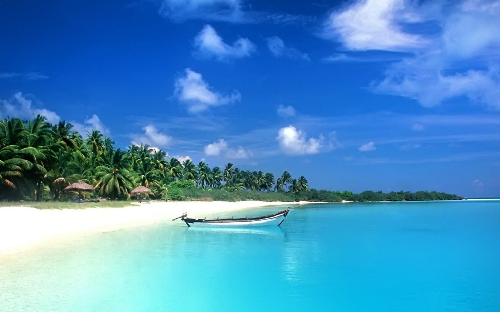 GOA beach night HD phone wallpaper Peakpx