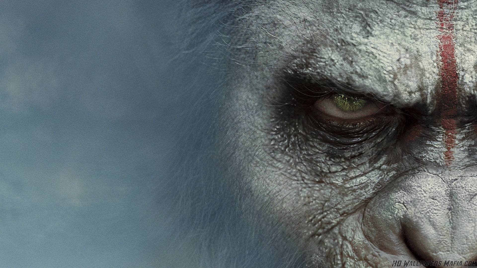 Planet Of The Apes Terbaru - HD Wallpaper 