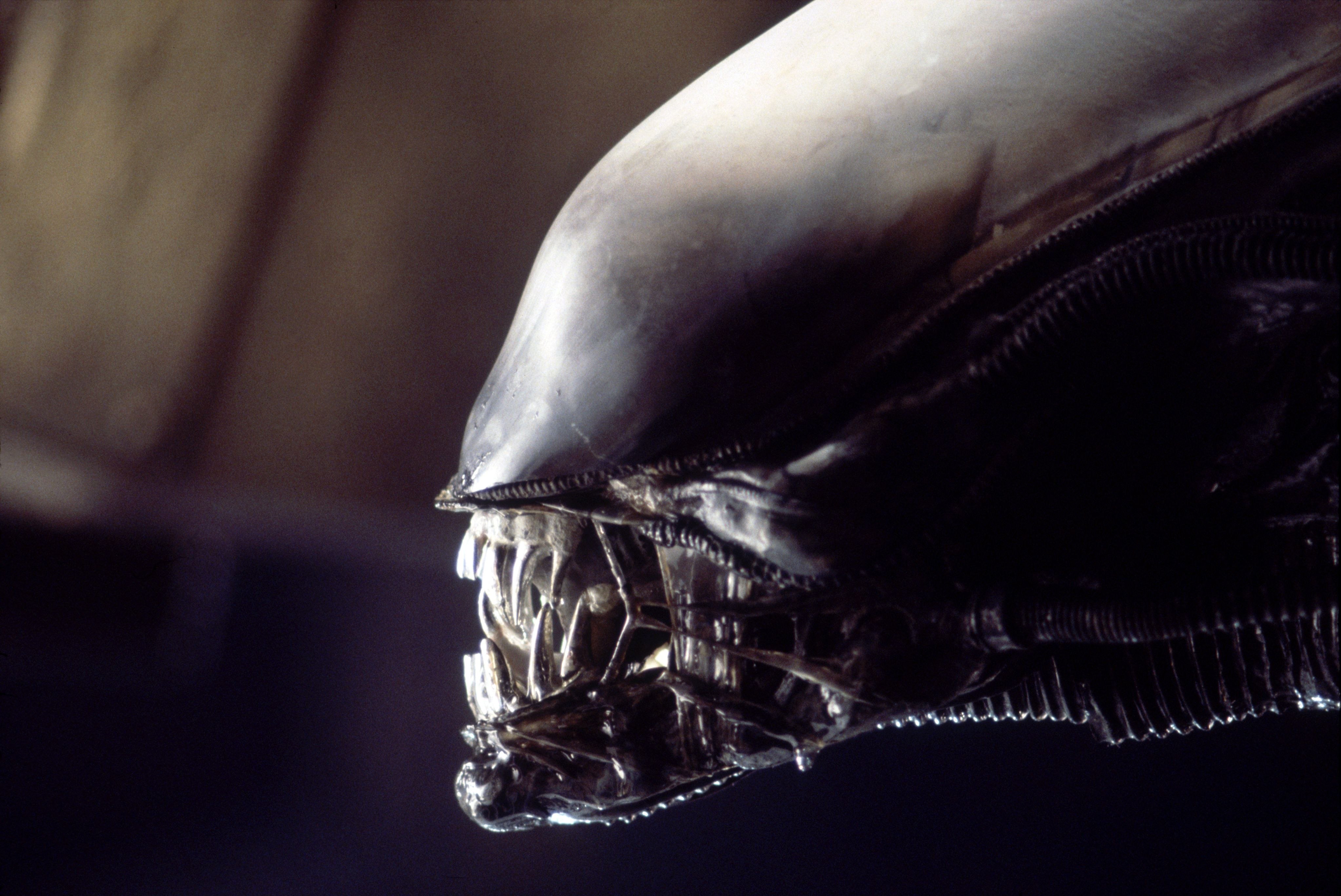 Alien Movie - HD Wallpaper 