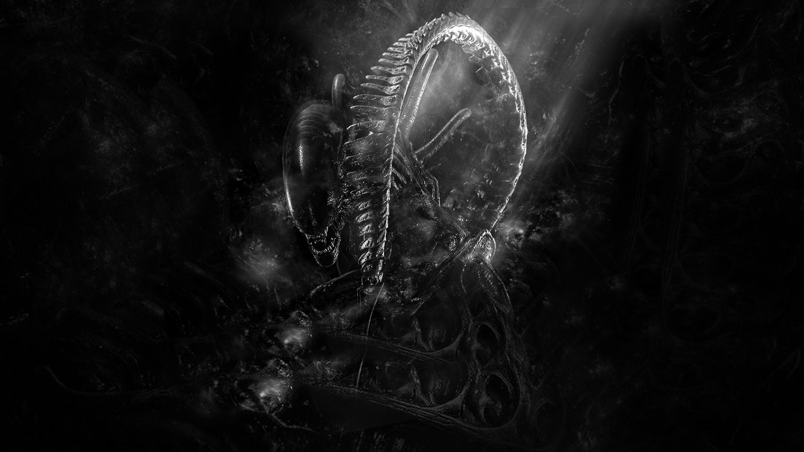 Xenomorph Wallpaper - Alien Theme For Windows 7 - HD Wallpaper 
