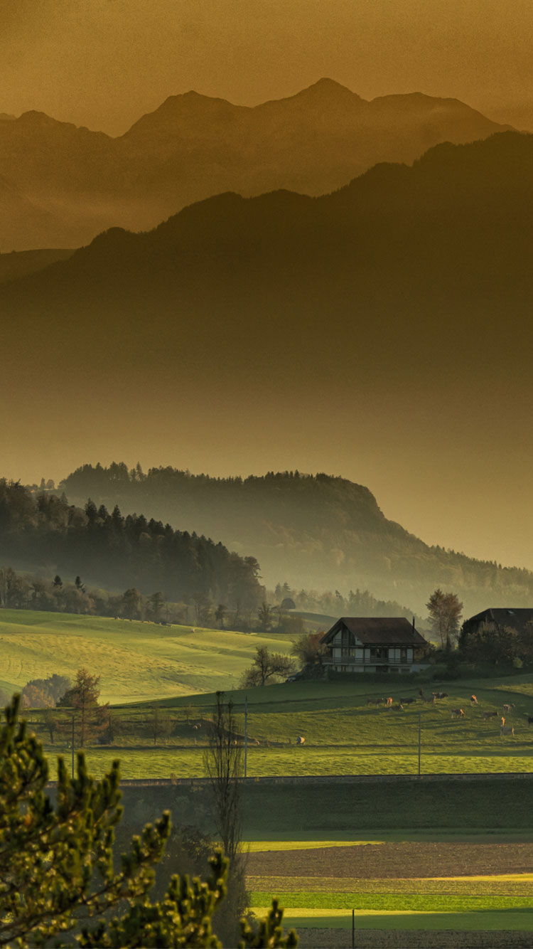 Confidence Is Silent Insecurities Are Loud - HD Wallpaper 