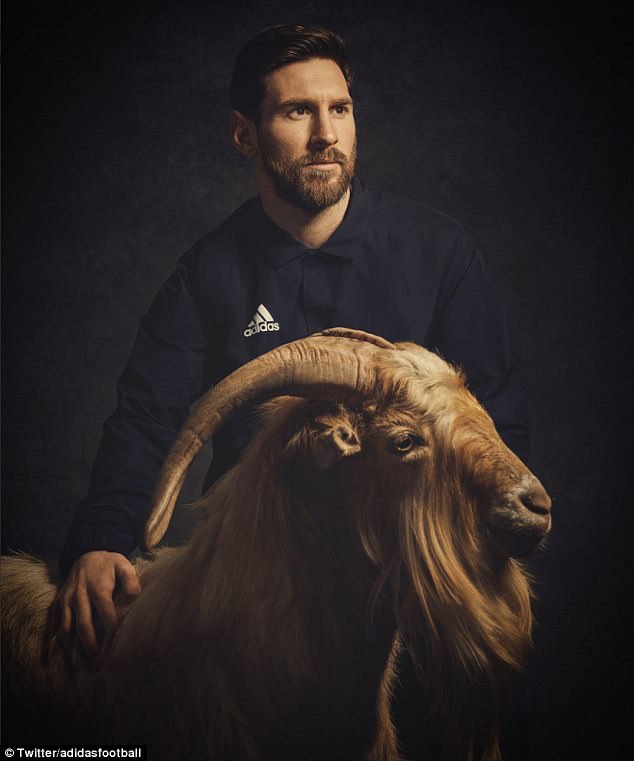 Argentina And Barcelona Star Lionel Messi Posed With - Messi Goats - HD Wallpaper 