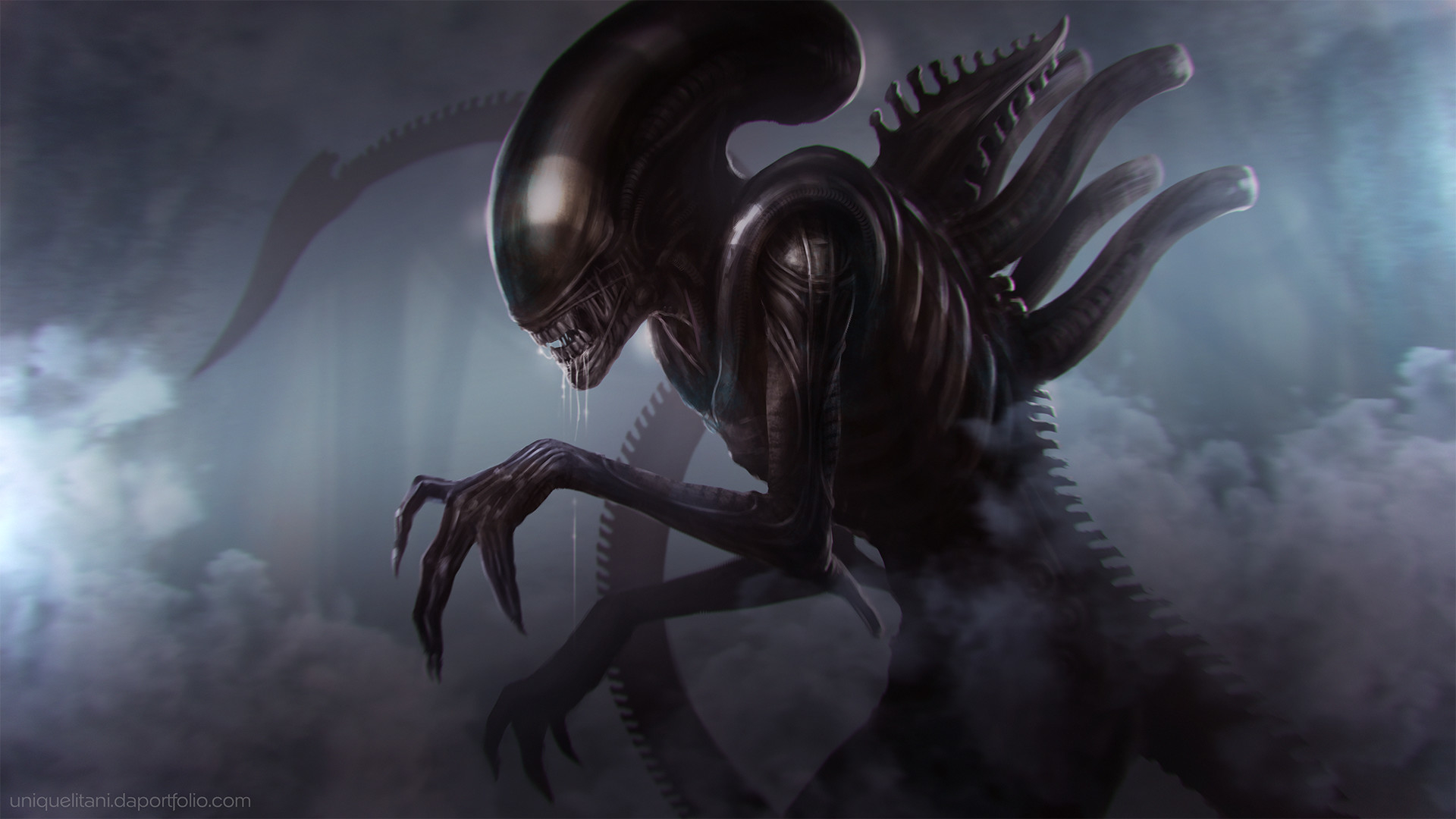 Xenomorph Artwork - HD Wallpaper 