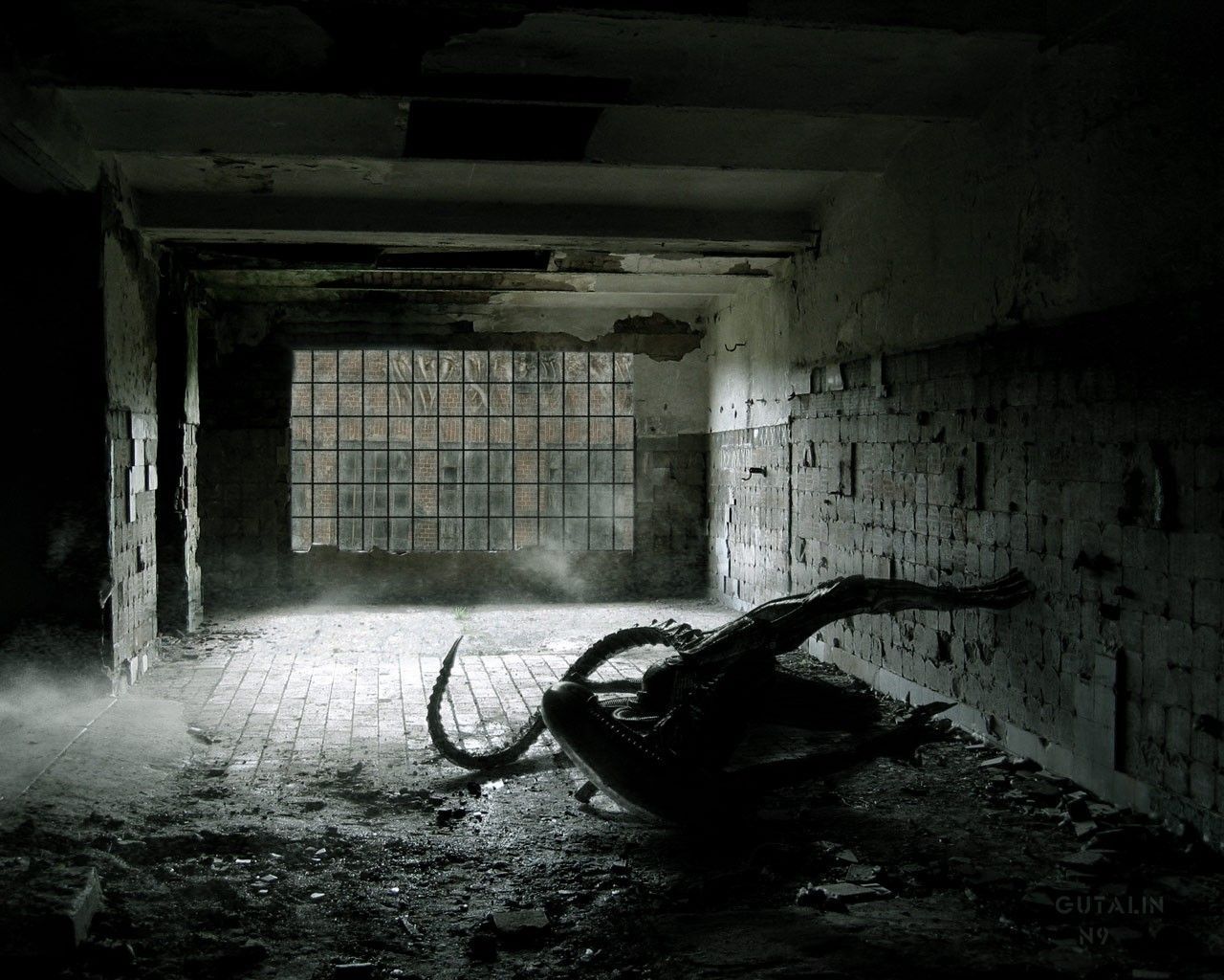 Hd Quality Pictures, Xenomorph - Depressive Room - HD Wallpaper 