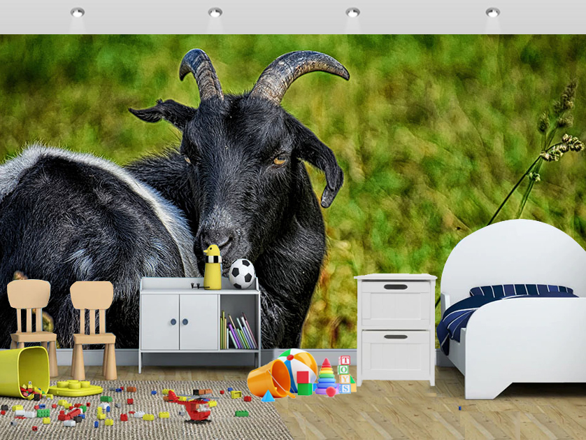 Farm Animals Marvellous Black Goat Wallpaper Kids - Got Farm In Gujarat - HD Wallpaper 