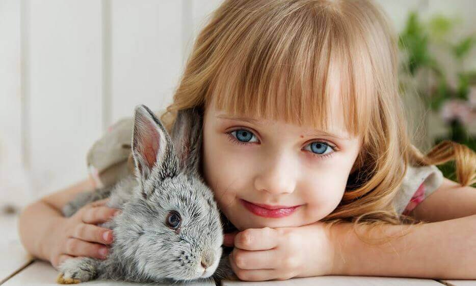 Cute Baby Girl Facebook Banner Cute Girl 934x563 Wallpaper teahub.io