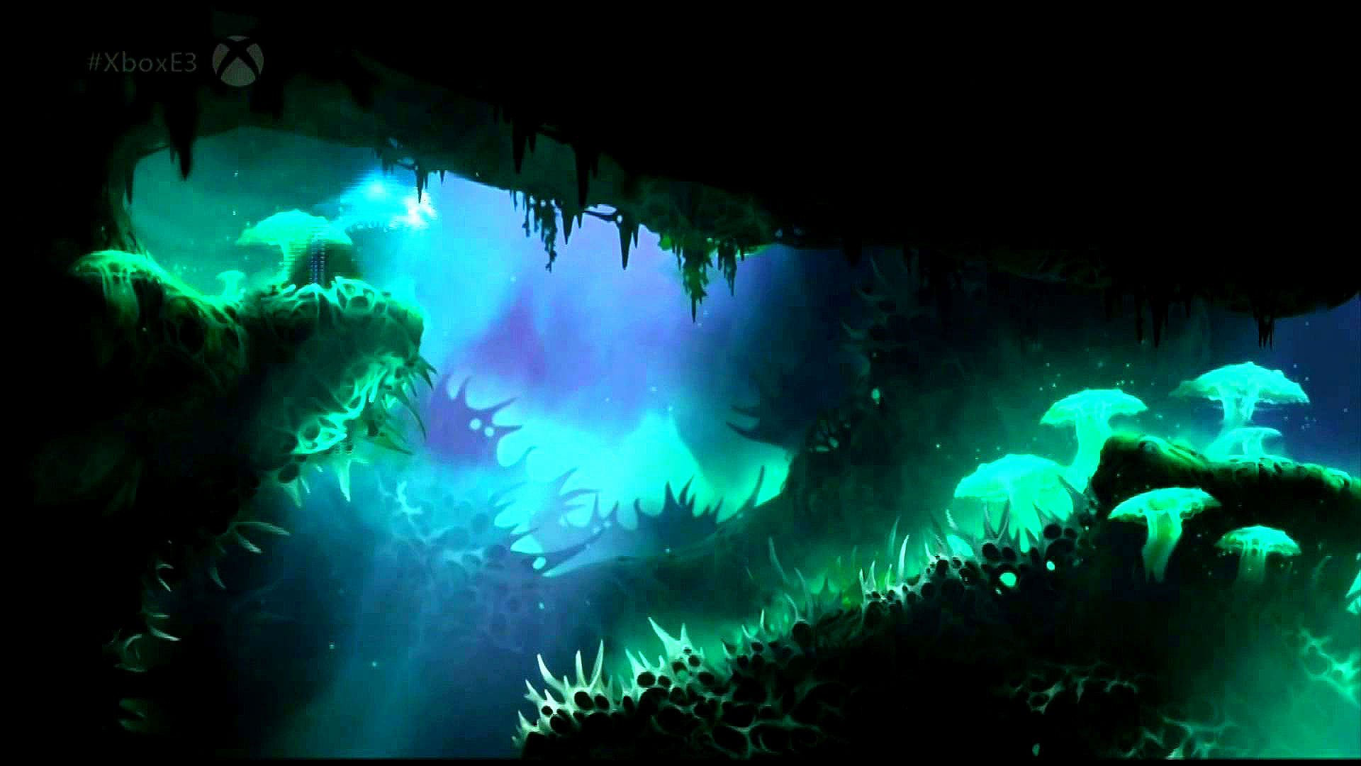 Ori And The Blind Forest Desktop - HD Wallpaper 