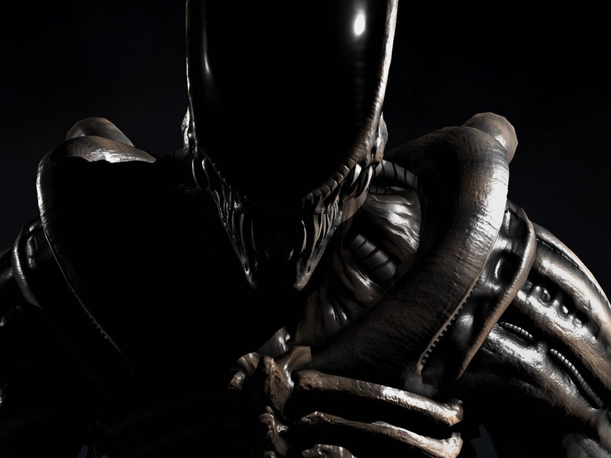 Mortal Kombat X Alien, Xenomorph - Mortal Kombat Xl Alien - HD Wallpaper 