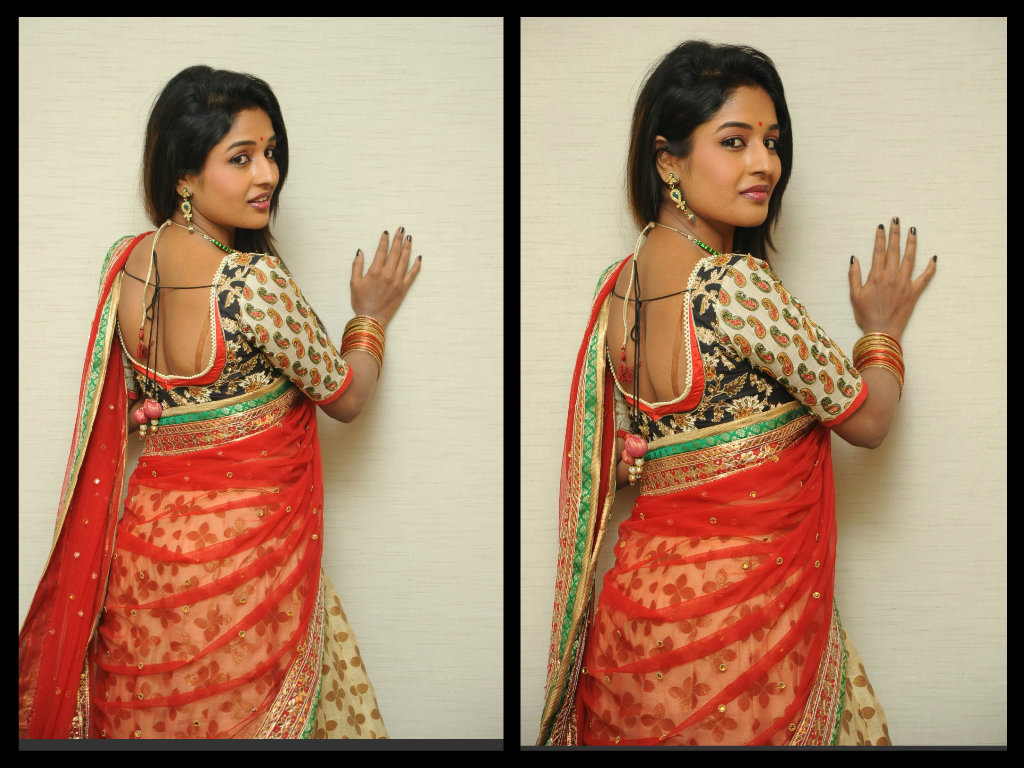 Blouse Back Neck Designs For Half Sarees With Red Dupatta Silk 1024x768 Wallpaper Teahub Io