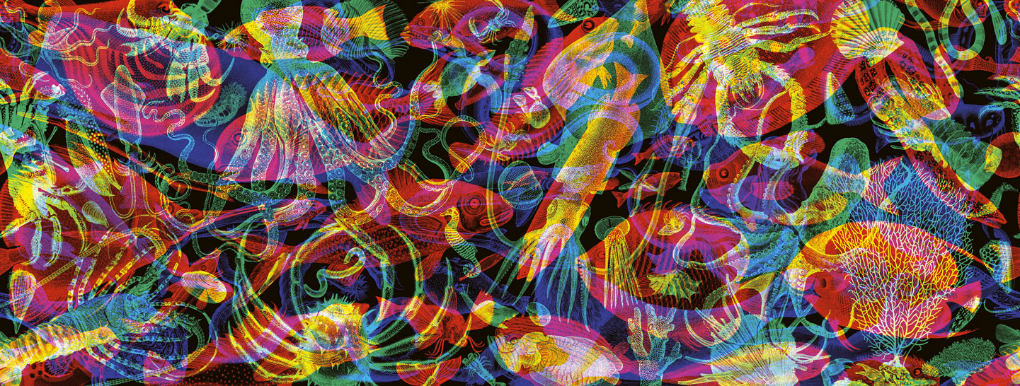 Carnovsky Wallpaper Black - HD Wallpaper 