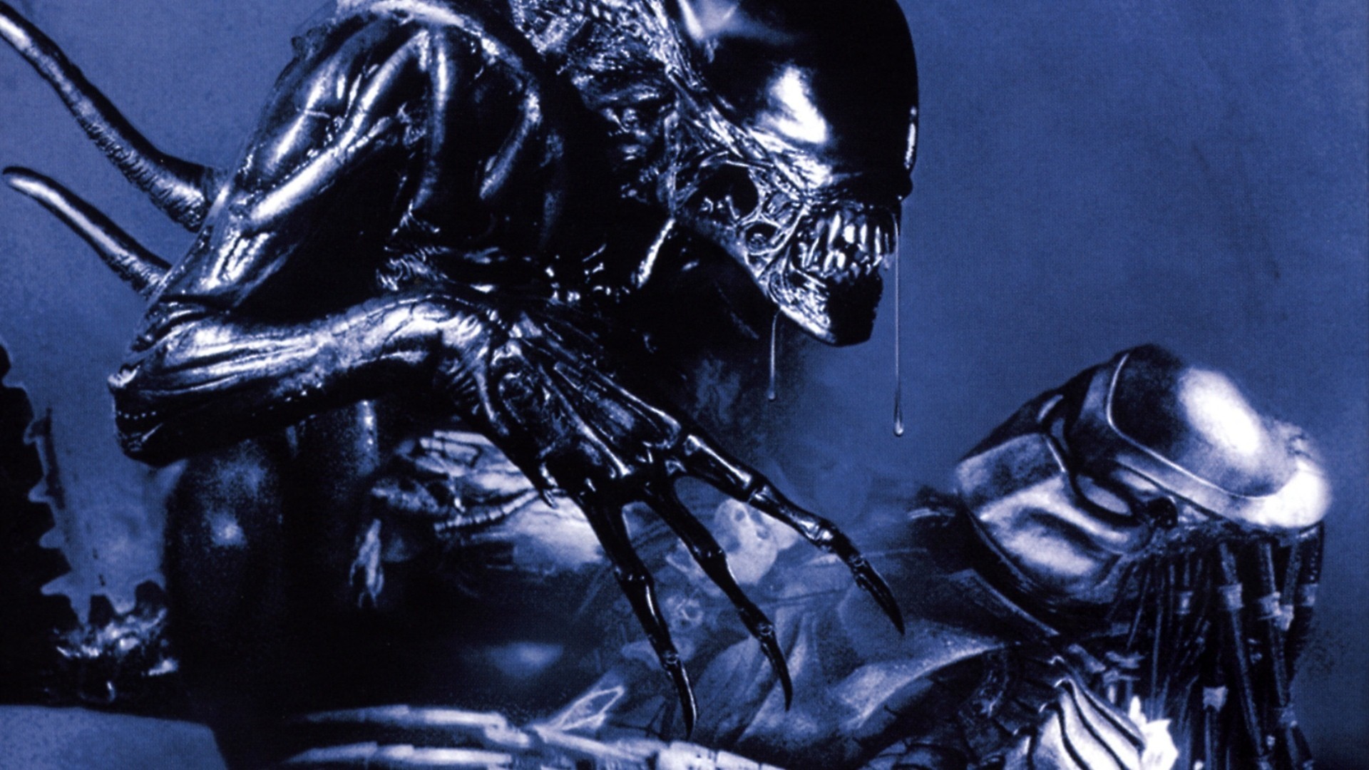 Written 
 Data-src /w/full/9/3/7/348647 - Disney Alien Vs Predator - HD Wallpaper 