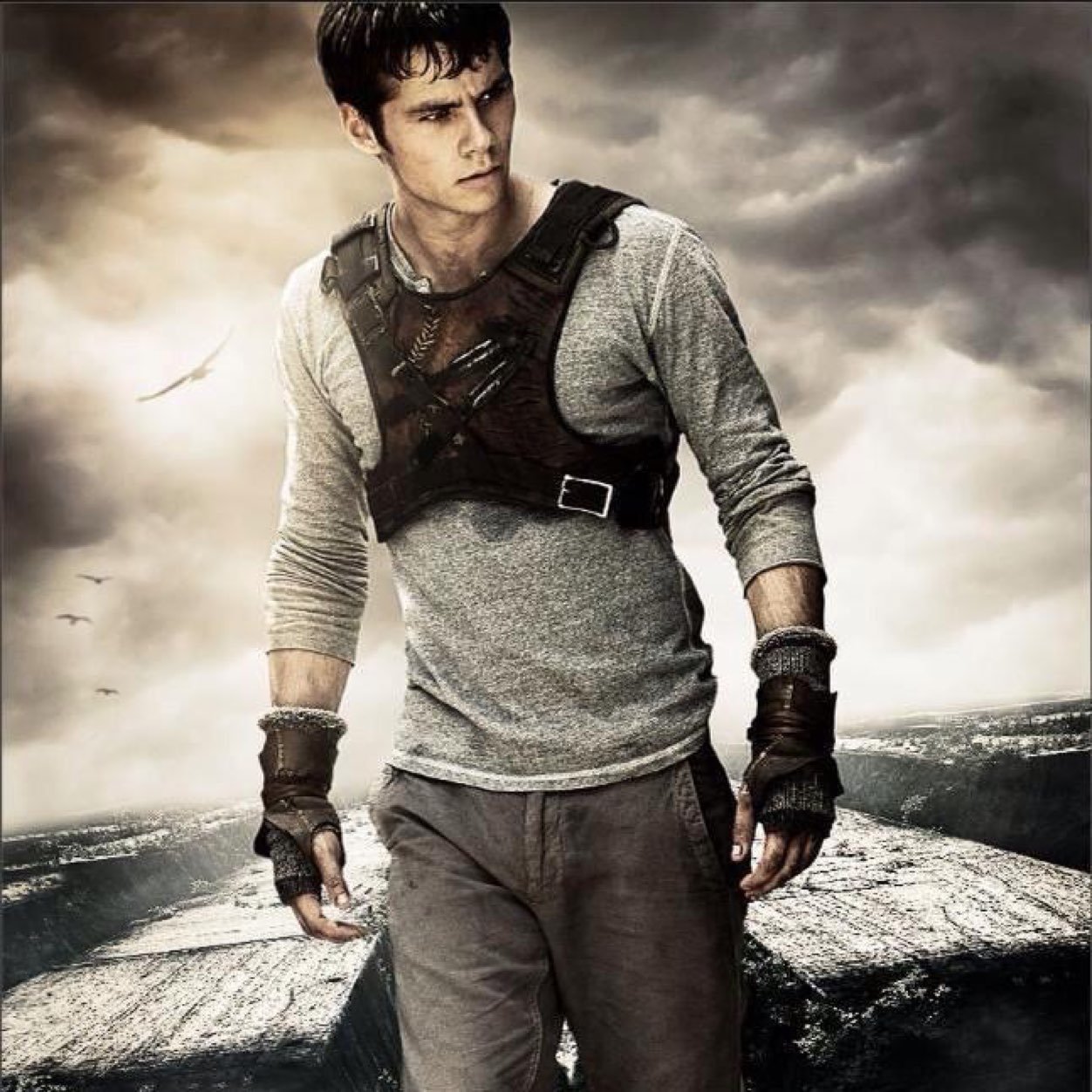 Dylan O Brien - HD Wallpaper 