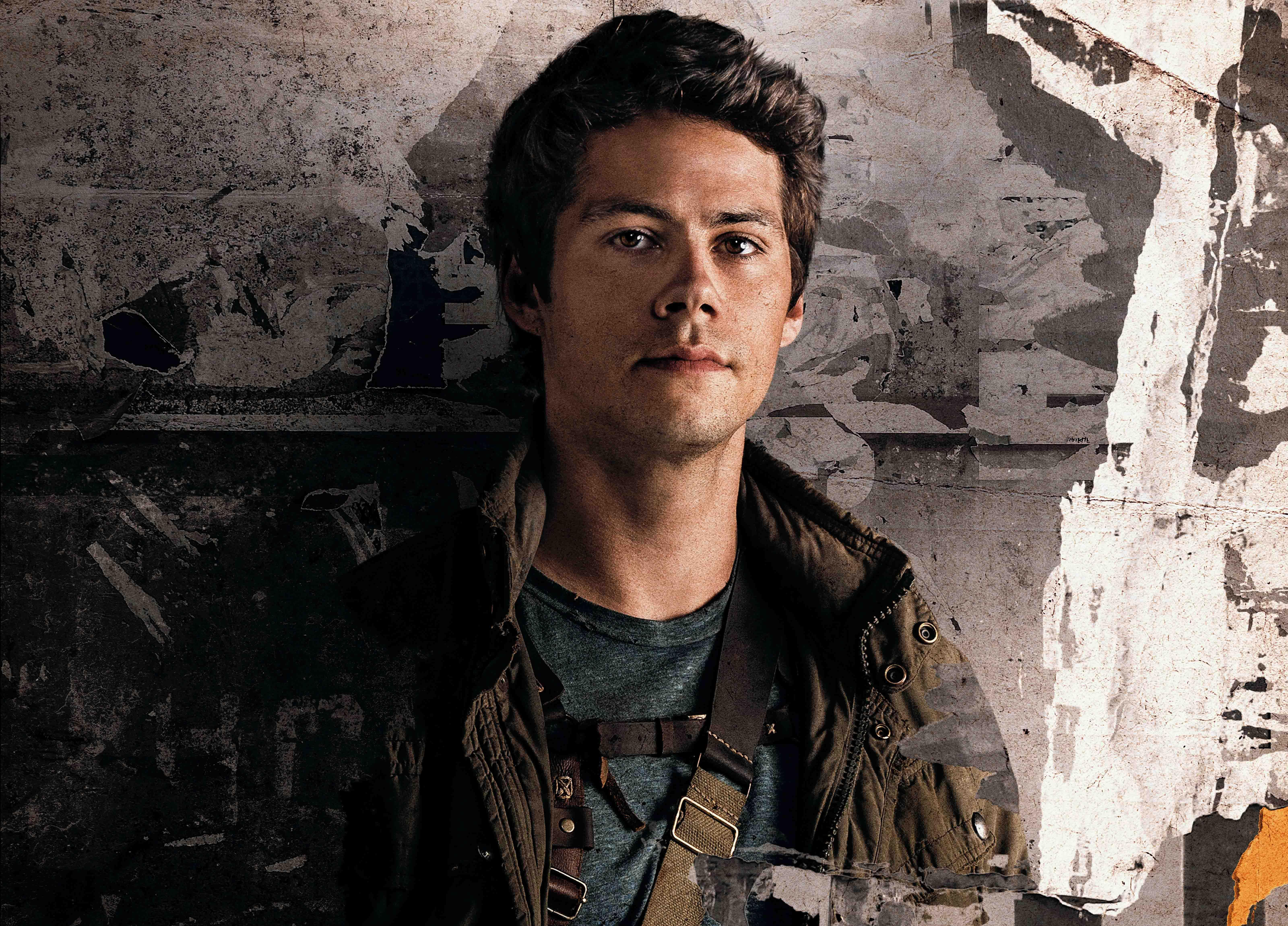 Dylan O Brien - HD Wallpaper 