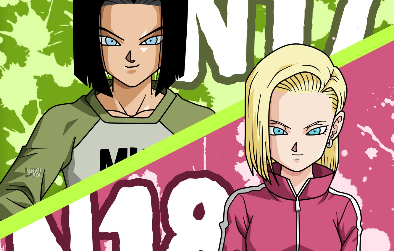 Photo Wallpaper Game, Android, Alien, Anime, Martial - Dragon Ball Super Android  17 And 18 - 1332x850 Wallpaper 
