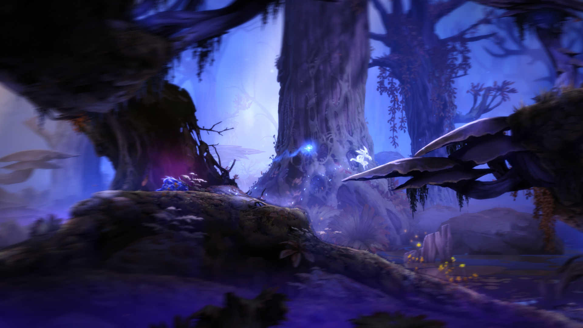 Ori And The Blind Forest - HD Wallpaper 