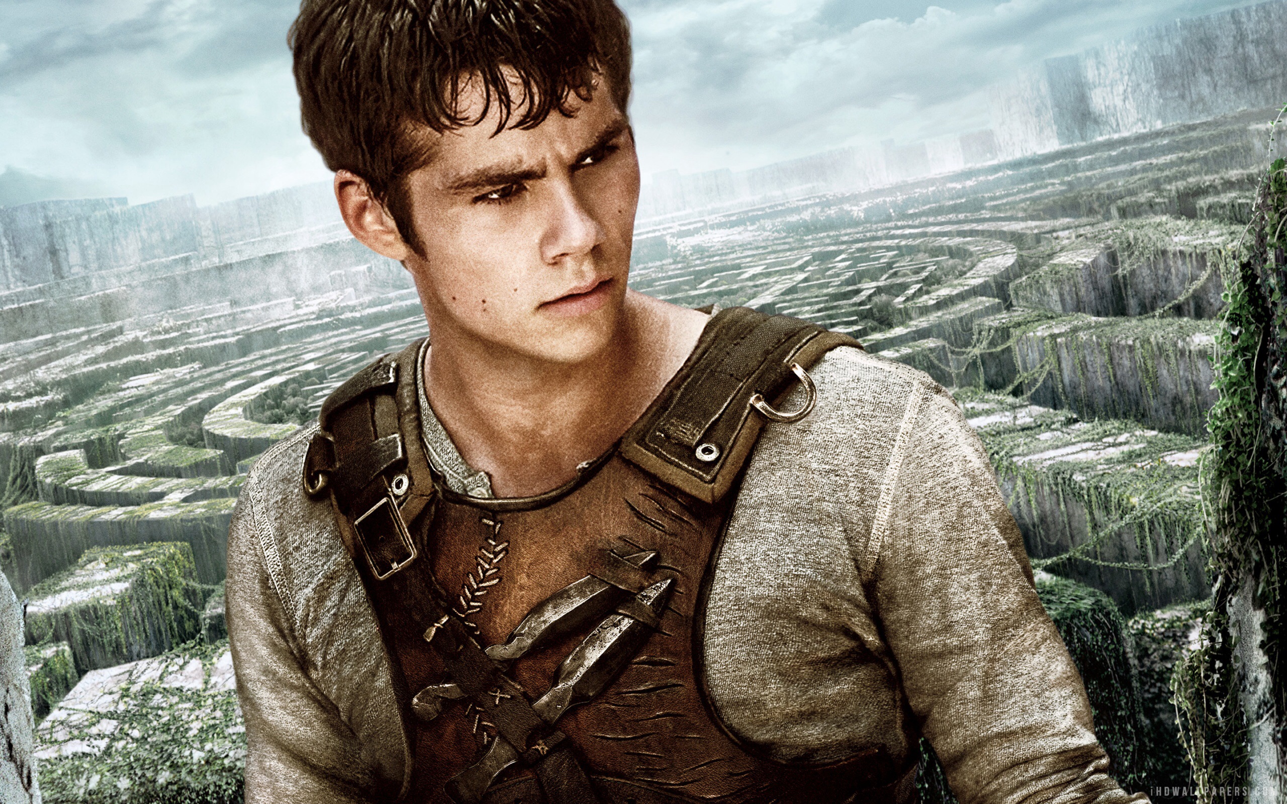 The Maze Runner - Dylan O Brien - HD Wallpaper 