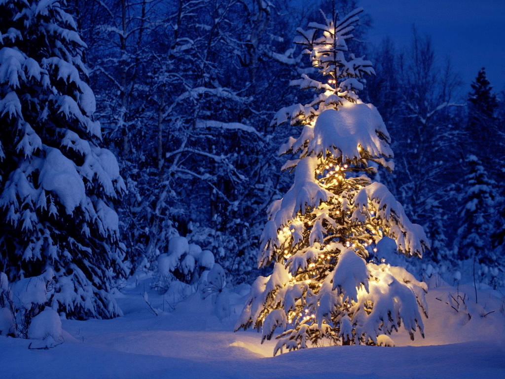 Winter Achtergronden - Christmas Tree Snow Scene - HD Wallpaper 