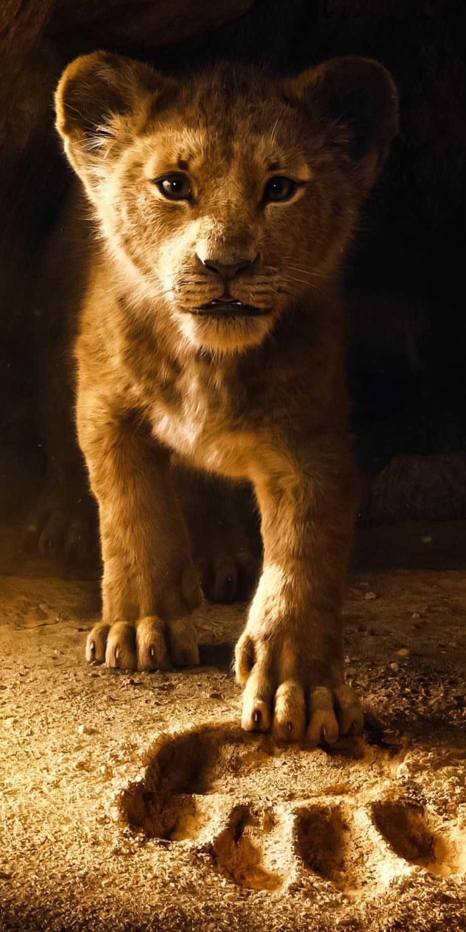 Lion King 2019 Baby - HD Wallpaper 