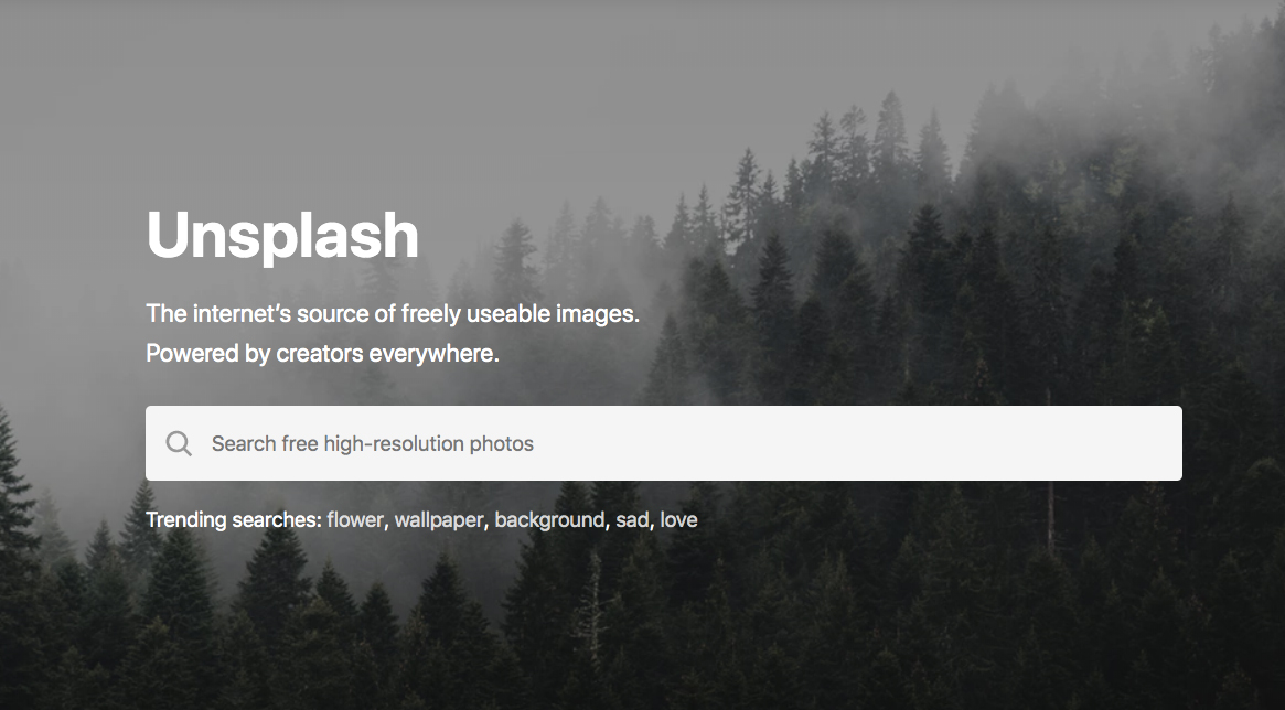 Spruce-fir Forest - HD Wallpaper 